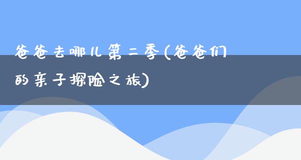 爸爸去哪儿第二季(爸爸们的亲子探险之旅)