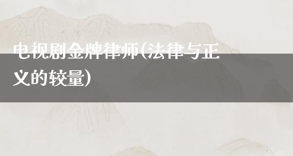 电视剧金牌律师(法律与正义的较量)