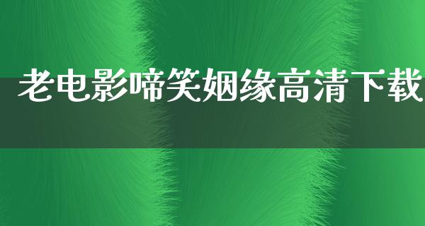 老电影啼笑姻缘高清下载