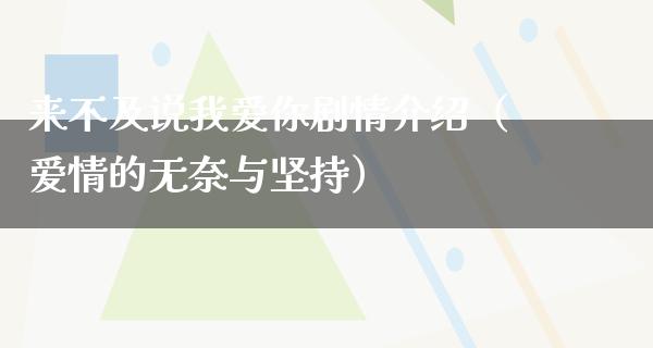 来不及说我爱你剧情介绍（爱情的无奈与坚持）