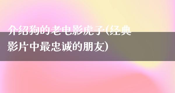 介绍狗的老电影虎子(经典影片中最忠诚的朋友)