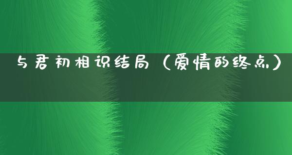 与君初相识结局（爱情的终点）