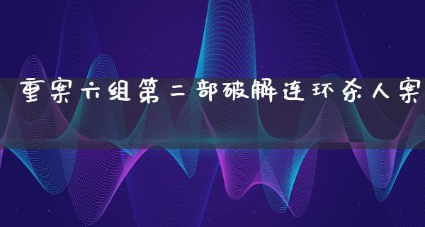 重案六组第二部**连环杀人案