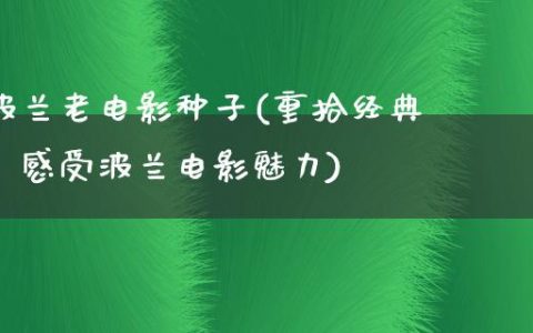 波兰老电影种子(重拾经典，感受波兰电影魅力)