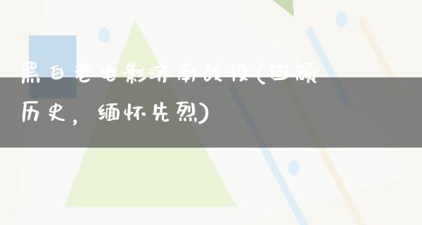 黑白老电影济南战役(回顾历史，缅怀先烈)