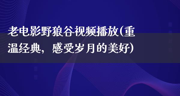 老电影野狼谷视频播放(重温经典，感受岁月的美好)