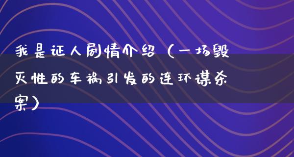 我是证人剧情介绍（一场毁灭性的车祸引发的连环谋杀案）