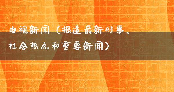 电视新闻（报道最新时事、社会热点和重要新闻）