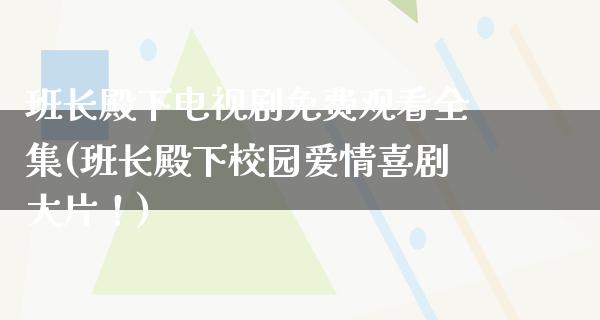 班长殿下电视剧免费观看全集(班长殿下校园爱情喜剧**！)