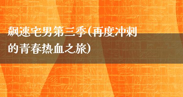 飙速宅男第三季(再度冲刺的青春热血之旅)