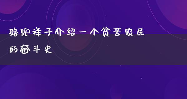 骆驼祥子介绍一个贫苦农民的奋斗史