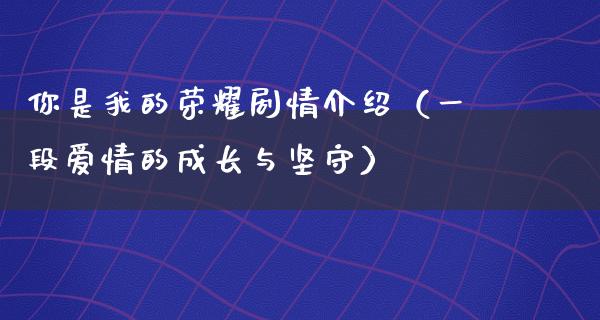 你是我的荣耀剧情介绍（一段爱情的成长与坚守）