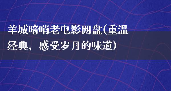 羊城暗哨老电影网盘(重温经典，感受岁月的味道)