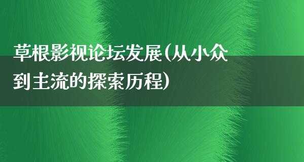 草根影视论坛发展(从小众到主流的探索历程)