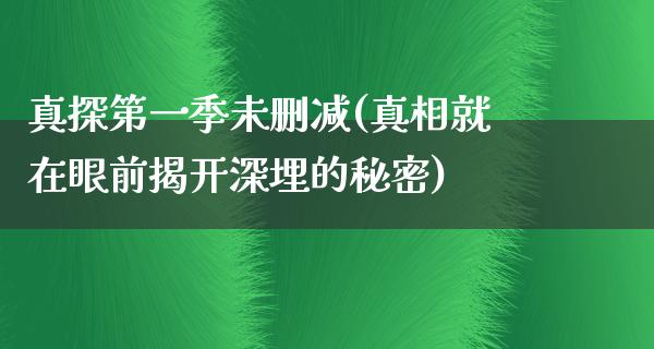 真探第一季未删减(**就在眼前揭开深埋的秘密)