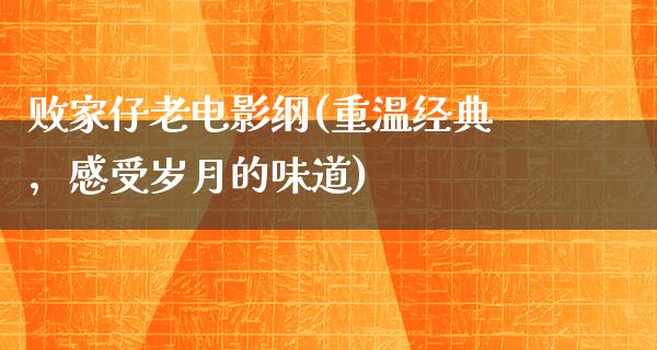 败家仔老电影纲(重温经典，感受岁月的味道)