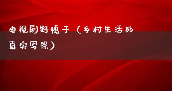 电视剧野鸭子（乡村生活的真实写照）