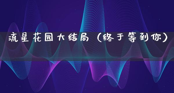 流星**大结局（终于等到你）