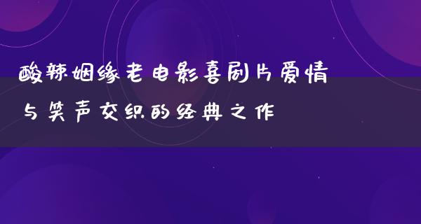 酸辣姻缘老电影喜剧片爱情与笑声交织的经典之作