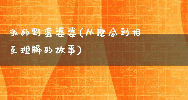 我的野蛮婆婆(从磨合到相互理解的故事)