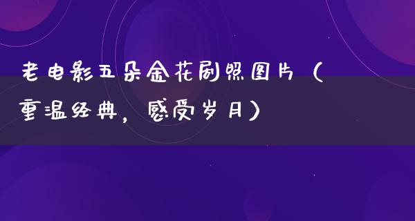 老电影五朵金花剧照图片（重温经典，感受岁月）