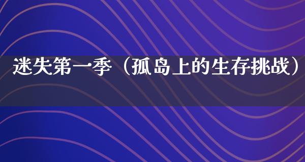 迷失第一季（孤岛上的生存挑战）