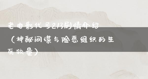 老电影代号213剧情介绍（神秘间谍与险恶组织的生死较量）