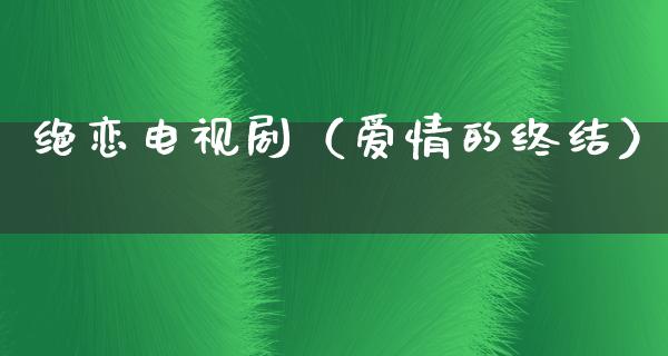 绝恋电视剧（爱情的终结）