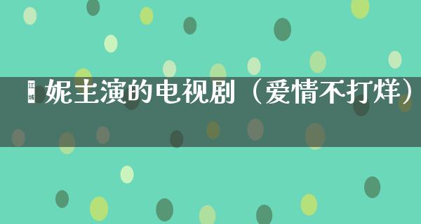 闫妮主演的电视剧（爱情不打烊）