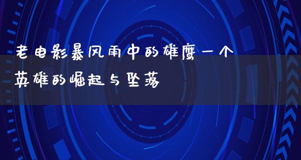 老电影暴风雨中的雄鹰一个英雄的崛起与坠落