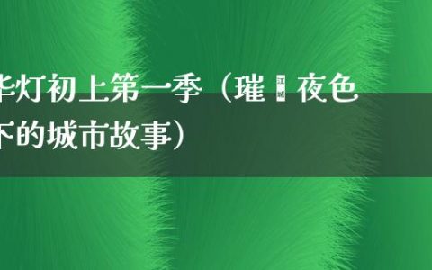 华灯初上第一季（璀璨夜色下的城市故事）