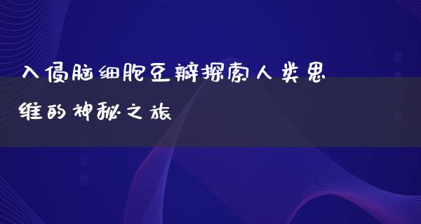 入侵脑细胞豆瓣探索人类思维的神秘之旅