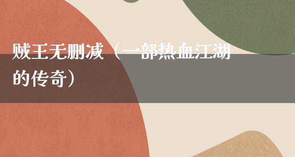 贼王无删减（一部热血**的传奇）