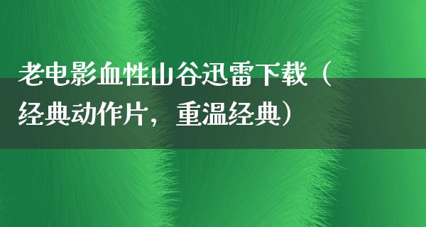 老电影血性山谷迅雷下载（经典动作片，重温经典）