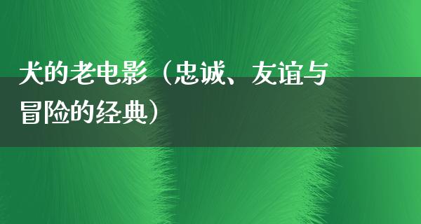 犬的老电影（忠诚、友谊与冒险的经典）