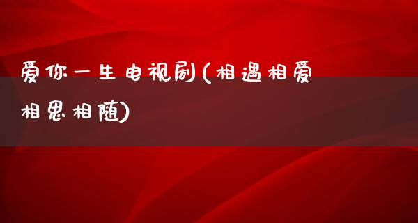 爱你一生电视剧(相遇相爱相思相随)