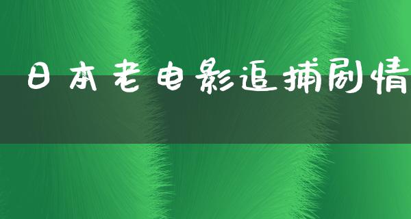 日本老电影追捕剧情