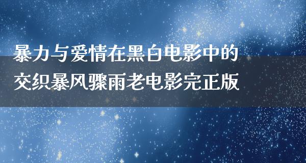 暴力与爱情在黑白电影中的交织暴风骤雨老电影完正版