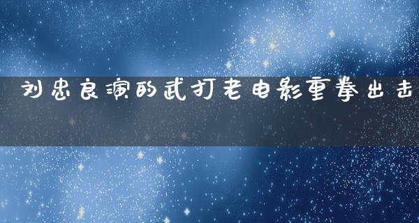 刘忠良演的武打老电影重拳出击