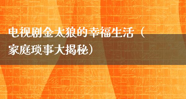 电视剧金太狼的幸福生活（家庭琐事大揭秘）