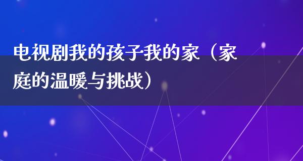 电视剧我的孩子我的家（家庭的温暖与挑战）