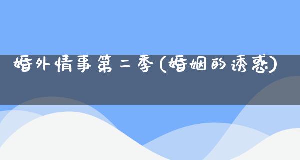 婚外情事第二季(婚姻的**)