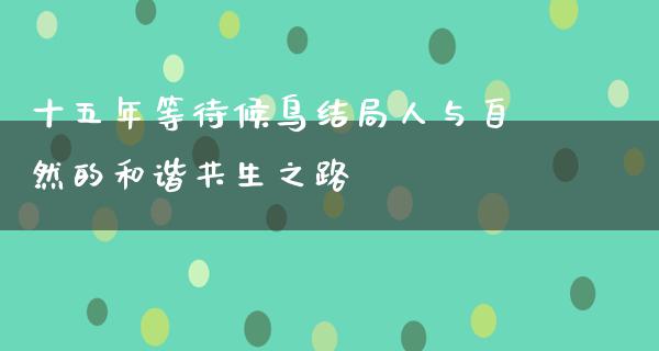 十五年等待候鸟结局人与自然的和谐共生之路