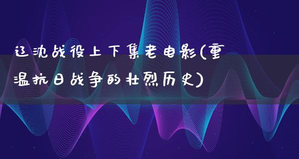 辽沈战役上下集老电影(重温抗日战争的壮烈历史)