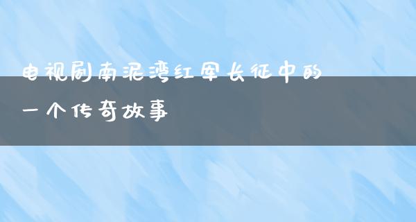 电视剧南泥湾红军长征中的一个传奇故事