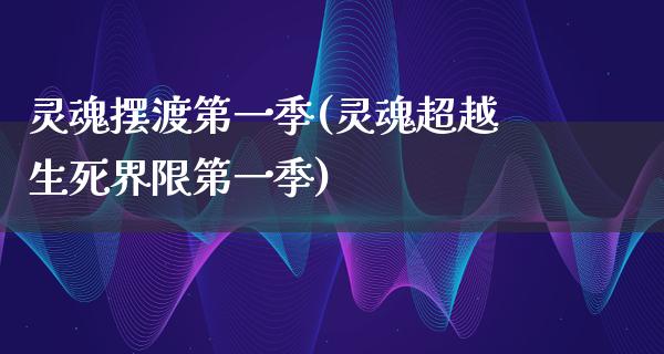 灵魂摆渡第一季(灵魂超越生死界限第一季)