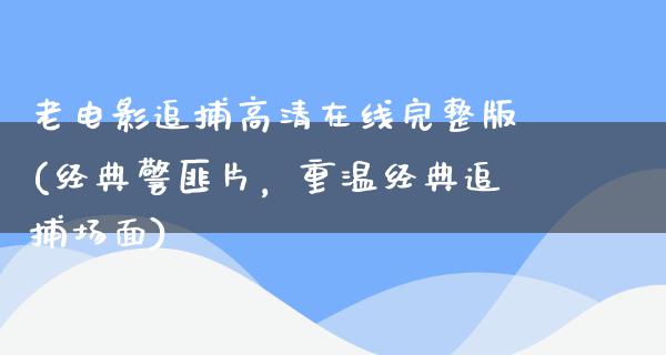 老电影追捕高清在线完整版(经典警匪片，重温经典追捕场面)