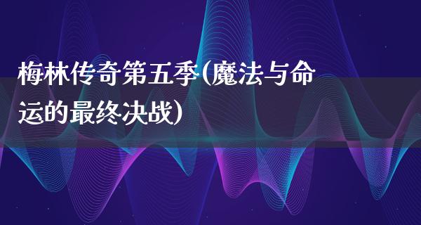 梅林传奇第五季(魔法与命运的最终决战)