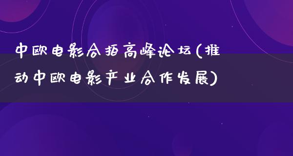 中欧电影合拍高峰论坛(推动中欧电影产业合作发展)