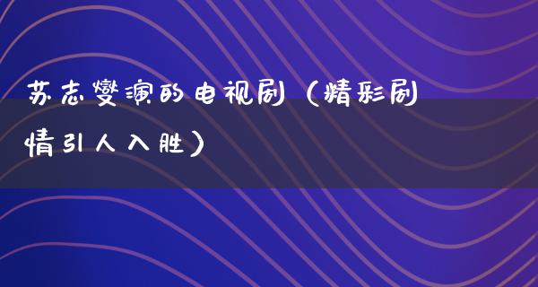 苏志燮演的电视剧（精彩剧情引人入胜）